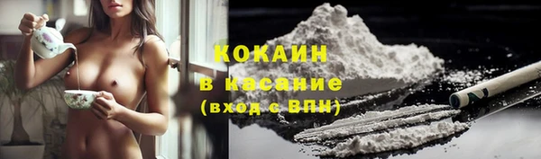 гашик Россошь