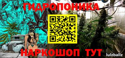 прущие грибы Донской