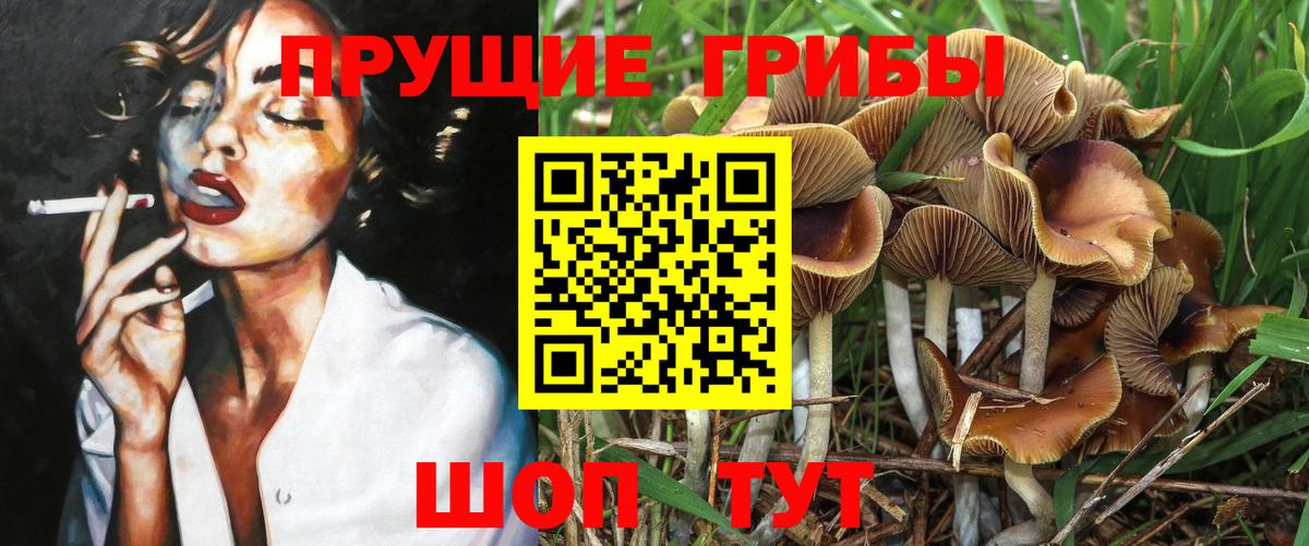 Галлюциногенные грибы MAGIC MUSHROOMS Советский