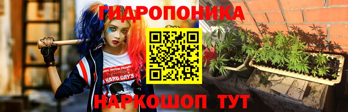 Советский  Шишки марихуана план  Каннабис семена  Канабис план  Вход с VPN  Каннабис марихуана 